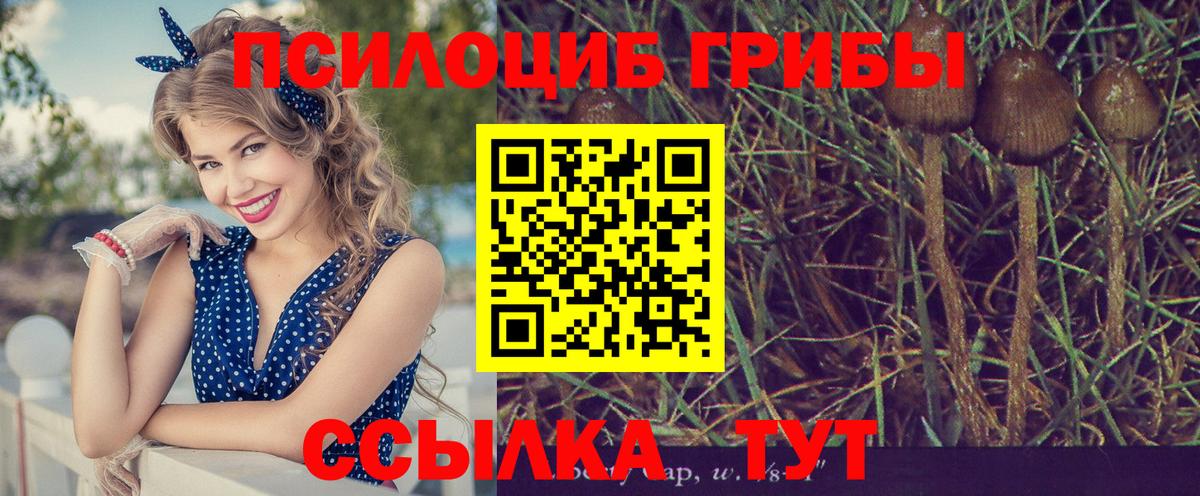 Галлюциногенные грибы GOLDEN TEACHER Боровичи
